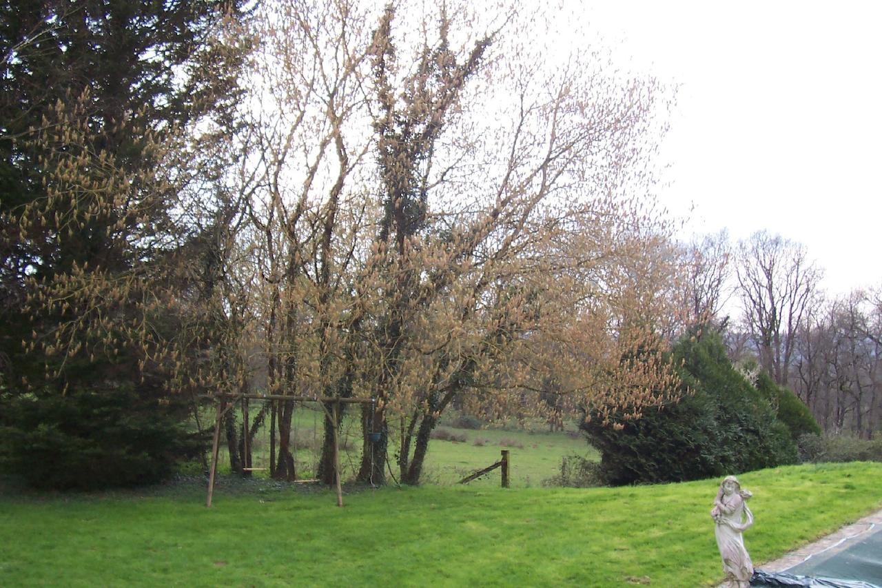 Chateau Champigny Maillet (Allier) Exterior photo